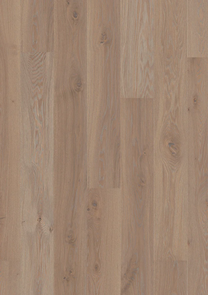 Parkett 1-stav eik warm grey pl181 live pure v:2822197