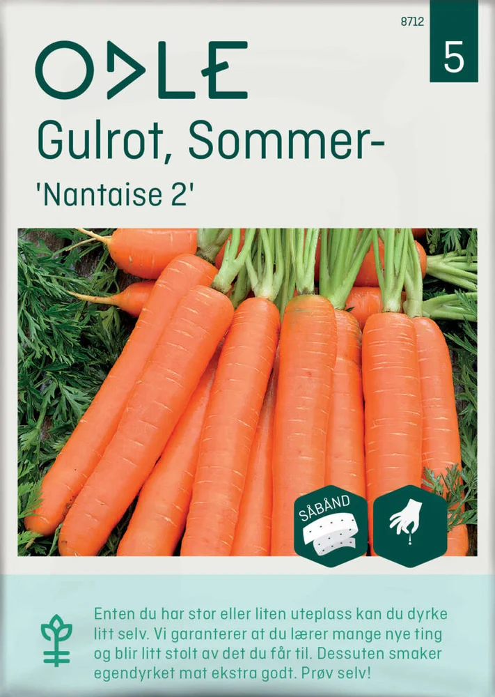 Odle 'Nantaise 2 sommer-' gulrot frø v:2351263