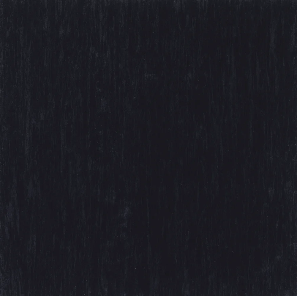 VINYL STANDARD PLUS 500 v:6233067