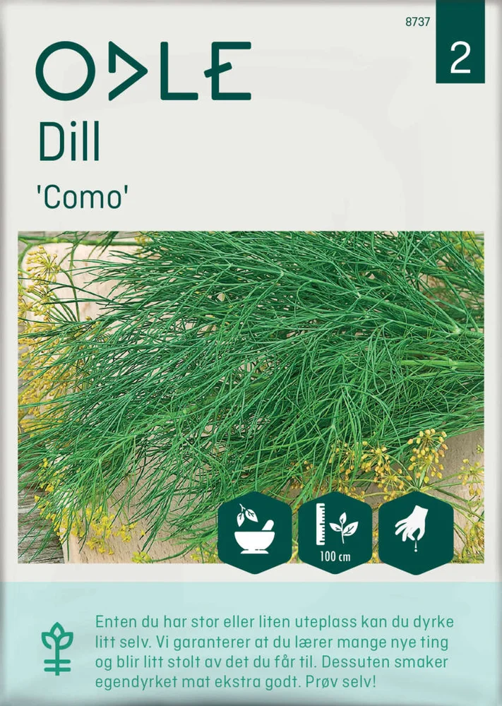 Odle 'Como' dill frø v:1141692