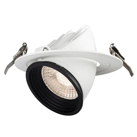 Focus Point Maxi Hide-a-Lite Downlight 3021790