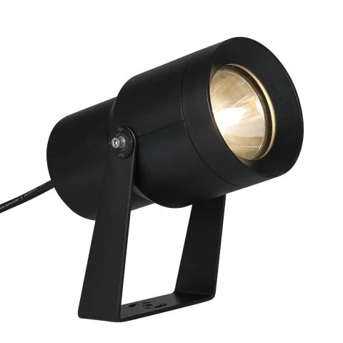 Spot It Hide-a-Lite Bakkelyskaster 3114771