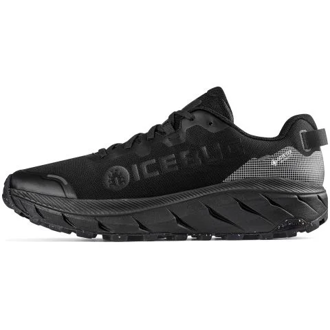 Arcus 2 RB9X GTX Icebug Yrkesko 4051231 Arcus 2 RB9X GTX Icebug Yrkesko 4051231