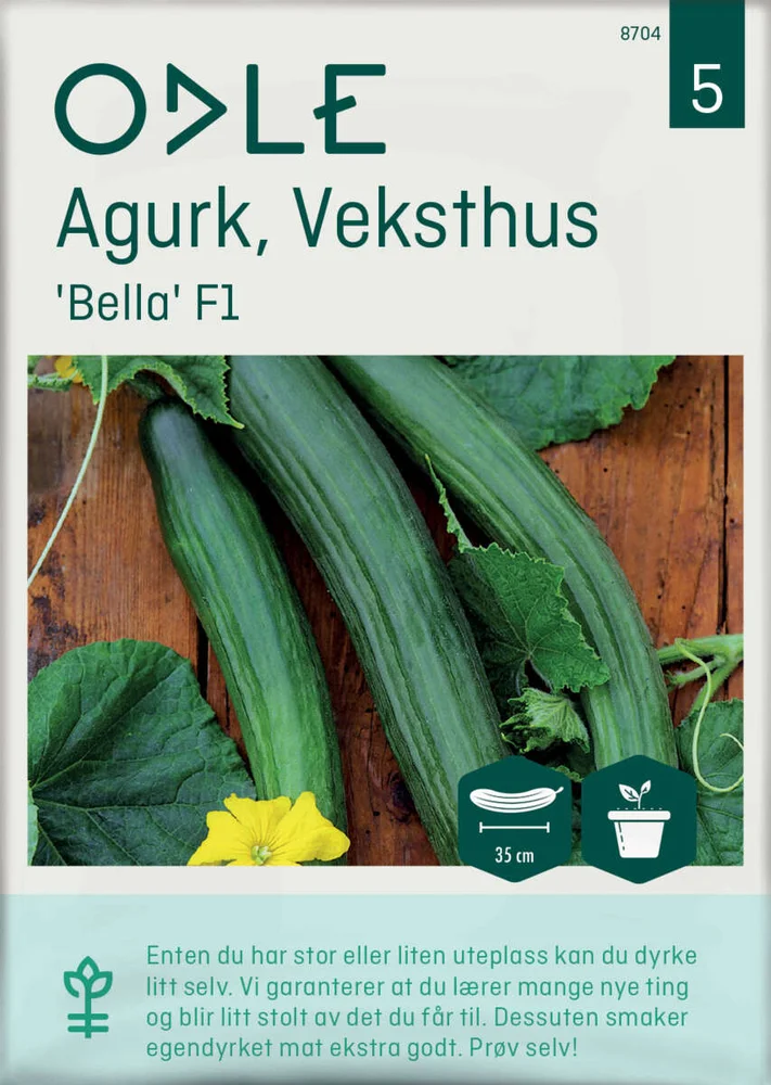 Odle 'Bella' F1 veksthus slangeagurk frø v:1293953