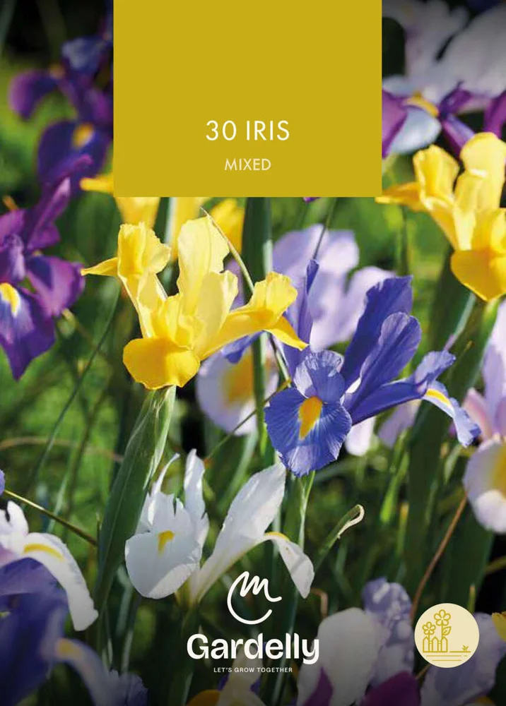 Nelson Garden Iris, Hollandica, Mixed høstløk 30 v:3258858 Nelson Garden Iris, Hollandica, Mixed høstløk 30 v:3258858