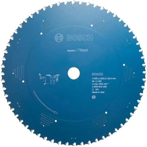 Expert for Steel Bosch Sagklinge HZ17009